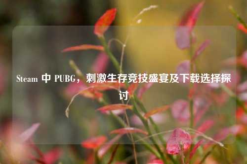 Steam 中 PUBG，***生存竞技盛宴及下载选择探讨