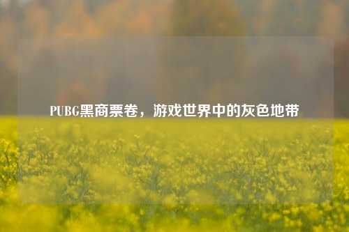 PUBG黑商票卷，游戏世界中的灰色地带