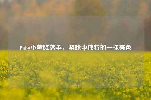 Pubg小黄降落伞，游戏中独特的一抹亮色