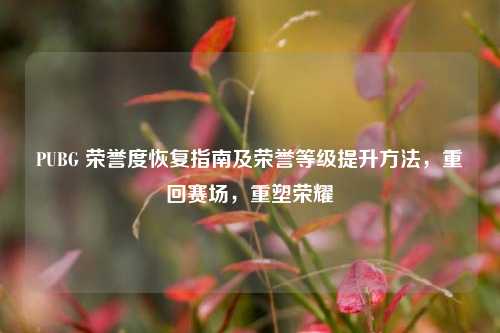 PUBG 荣誉度恢复指南及荣誉等级提升 *** ，重回赛场，重塑荣耀