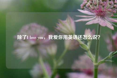 除了I love you，我爱你用英语还怎么说？