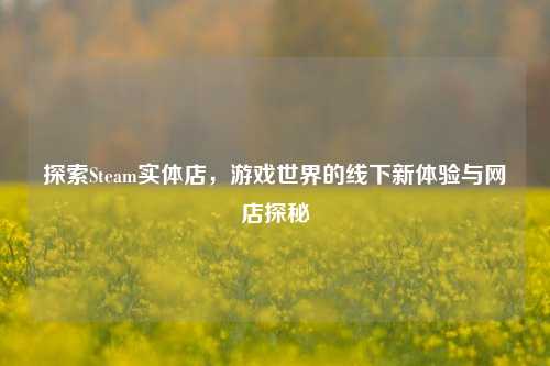 探索Steam实体店，游戏世界的线下新体验与网店探秘