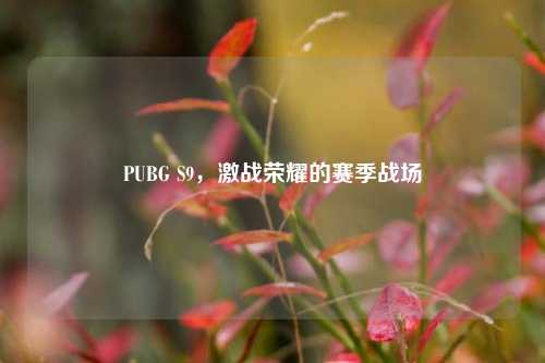 PUBG S9，激战荣耀的赛季战场