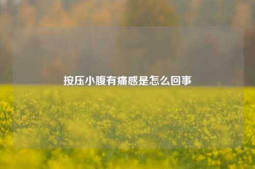 按压小腹有痛感是怎么回事