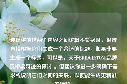 你提供的这两个内容之间逻辑不紧密呀，很难直接根据它们生成一个合适的标题。如果非要生成一个标题，可以是，关于BRIDGESTONE品牌及桥梁奇迹的探讨 。但建议你进一步明确下需求或说明它们之间的关联，以便能生成更精准的标题。