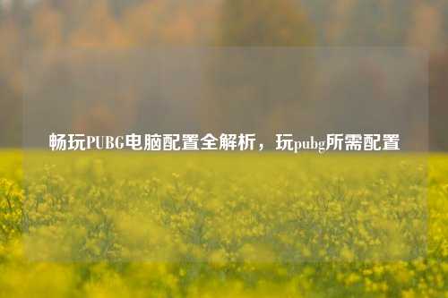 畅玩PUBG电脑配置全解析，玩pubg所需配置