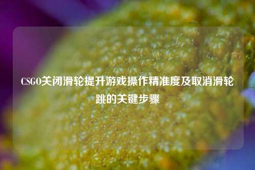 CSGO关闭滑轮提升游戏操作精准度及取消滑轮跳的关键步骤