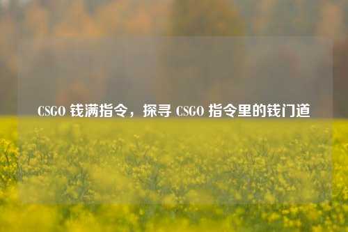 CSGO 钱满指令，探寻 CSGO 指令里的钱门道