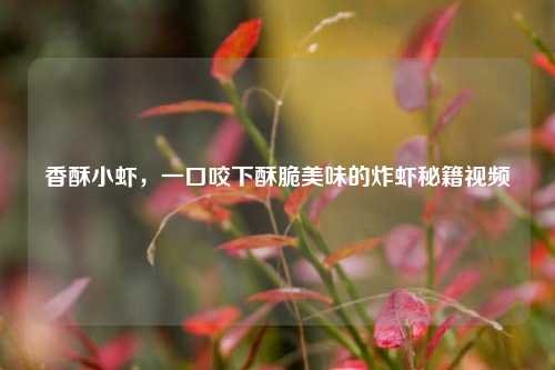 香酥小虾，一口咬下酥脆美味的炸虾秘籍视频