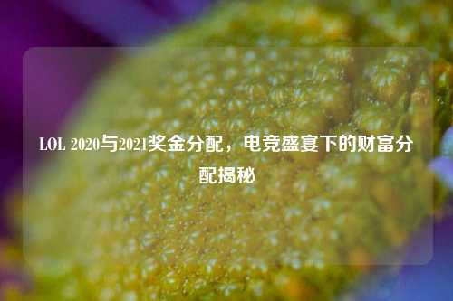 LOL 2020与2021奖金分配，电竞盛宴下的财富分配揭秘