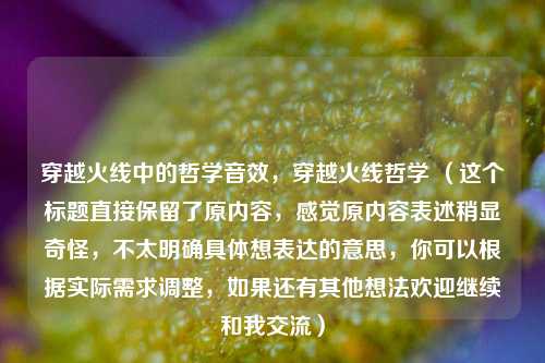 穿越火线中的哲学音效，穿越火线哲学 （这个标题直接保留了原内容，感觉原内容表述稍显奇怪，不太明确具体想表达的意思，你可以根据实际需求调整，如果还有其他想法欢迎继续和我交流）