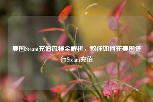 美国Steam充值流程全解析，教你如何在美国进行Steam充值