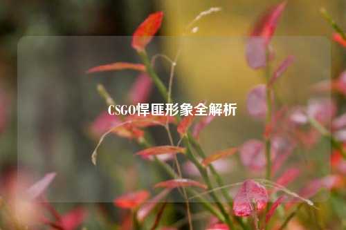 CSGO悍匪形象全解析