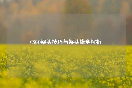 CSGO架头技巧与架头线全解析