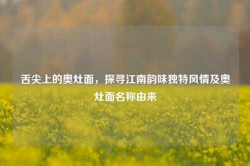 舌尖上的奥灶面，探寻江南韵味独特风情及奥灶面名称由来