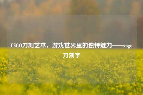 CSGO刀刻艺术，游戏世界里的独特魅力——csgo刀刻字