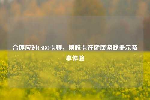 合理应对CSGO卡顿，摆脱卡在健康游戏提示畅享体验