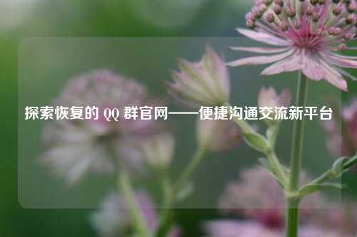 探索恢复的  ***  群官网——便捷沟通交流新平台