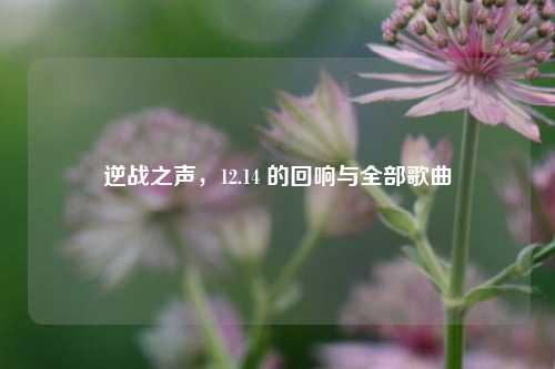 逆战之声，12.14 的回响与全部歌曲