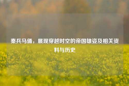 秦兵马俑，展现穿越时空的帝国雄姿及相关资料与历史