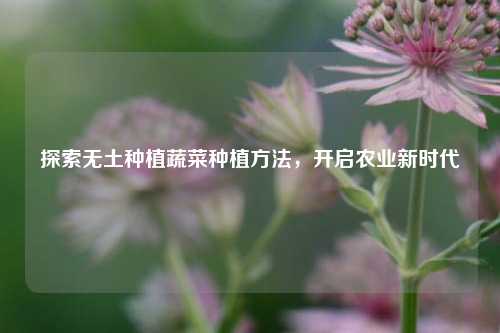 探索无土种植蔬菜种植 *** ，开启农业新时代