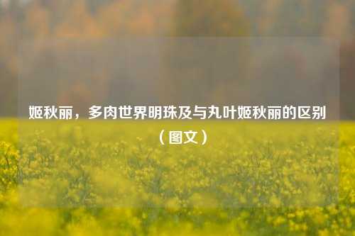 姬秋丽，多肉世界明珠及与丸叶姬秋丽的区别（图文）