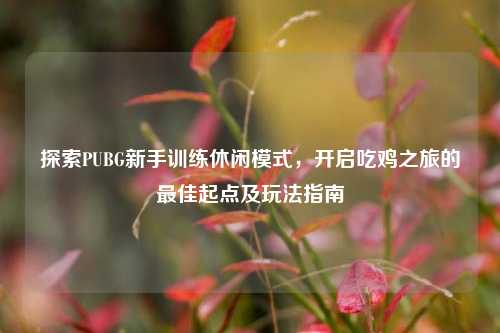 探索PUBG新手训练休闲模式，开启吃鸡之旅的更佳起点及玩法指南
