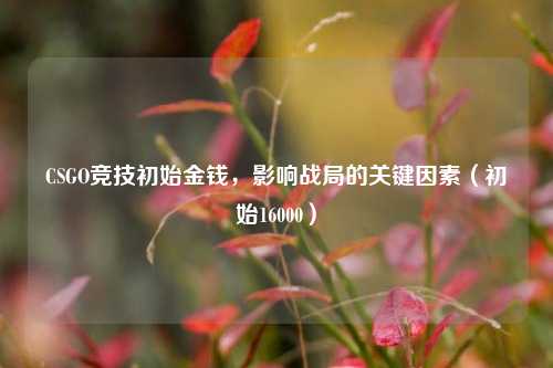CSGO竞技初始金钱，影响战局的关键因素（初始16000）
