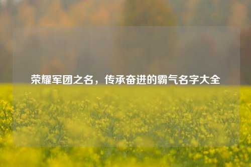荣耀军团之名，传承奋进的霸气名字大全
