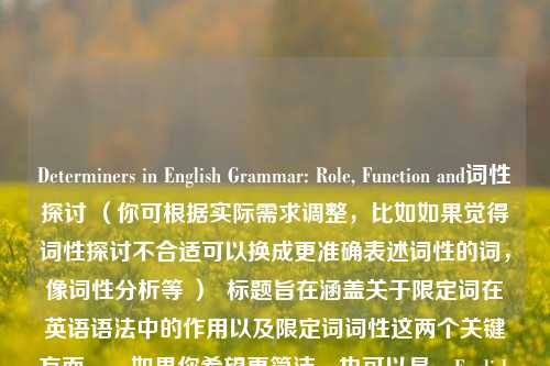 Determiners in English Grammar: Role, Function and词性探讨 （你可根据实际需求调整，比如如果觉得词性探讨不合适可以换成更准确表述词性的词，像词性分析等 ）  标题旨在涵盖关于限定词在英语语法中的作用以及限定词词性这两个关键方面。，如果你希望更简洁，也可以是，English Grammars Determiners: Role, Function &词性，以下是按照你要求直接生成的一个标题，，English Grammar: The Role, F