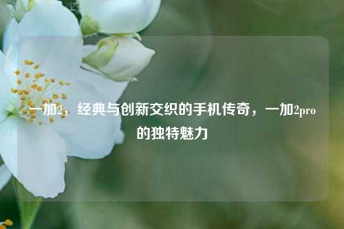 一加2，经典与创新交织的手机传奇，一加2pro的独特魅力