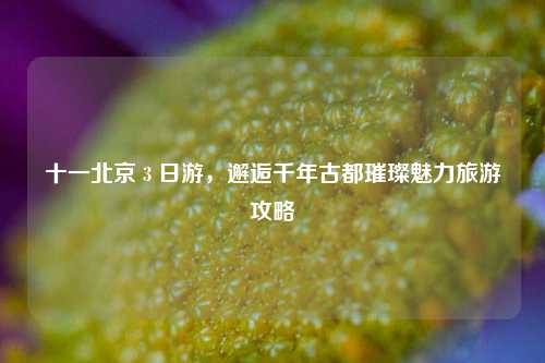 十一北京 3 日游，邂逅千年古都璀璨魅力旅游攻略