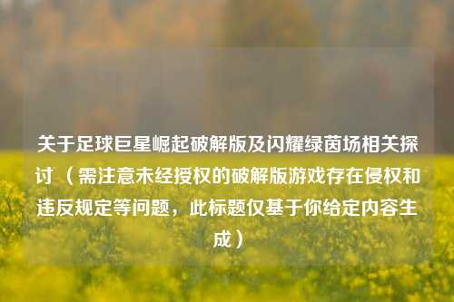 关于足球巨星崛起破解版及闪耀绿茵场相关探讨 （需注意未经授权的破解版游戏存在侵权和违反规定等问题，此标题仅基于你给定内容生成）