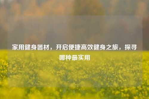 家用健身器材，开启便捷高效健身之旅，探寻哪种最实用