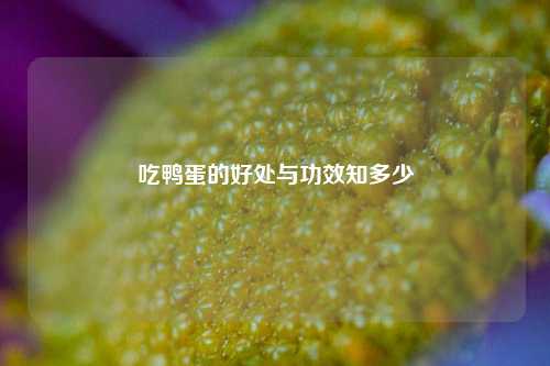 吃鸭蛋的好处与功效知多少