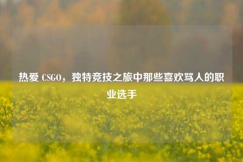 热爱 CSGO，独特竞技之旅中那些喜欢骂人的职业选手