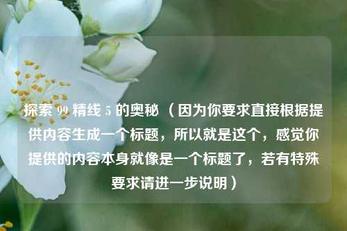 探索 99 精线 5 的奥秘 （因为你要求直接根据提供内容生成一个标题，所以就是这个，感觉你提供的内容本身就像是一个标题了，若有特殊要求请进一步说明）