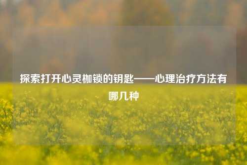 探索打开心灵枷锁的钥匙——心理治疗 *** 有哪几种