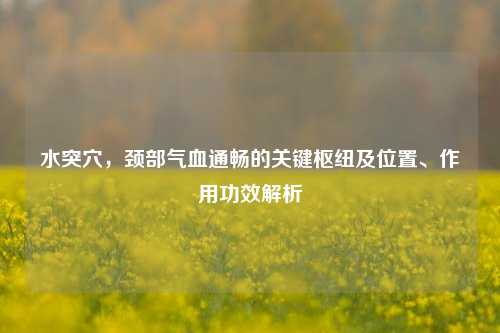 水突穴，颈部气血通畅的关键枢纽及位置、作用功效解析