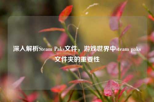 深入解析Steam Paks文件，游戏世界中steam paks文件夹的重要性