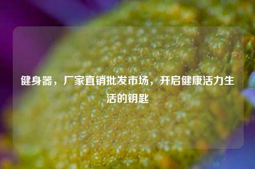 健身器，厂家直销批发市场，开启健康活力生活的钥匙