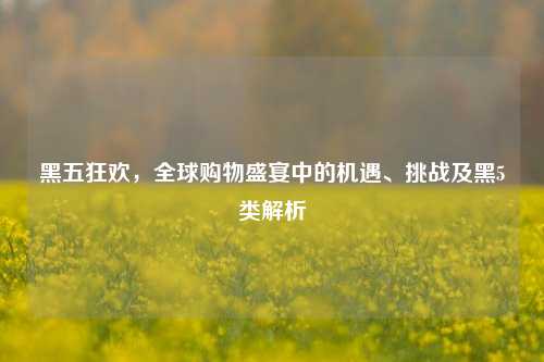 黑五狂欢，全球购物盛宴中的机遇、挑战及黑5类解析