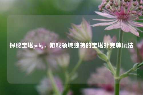 探秘宝塔pubg，游戏领域独特的宝塔扑克牌玩法