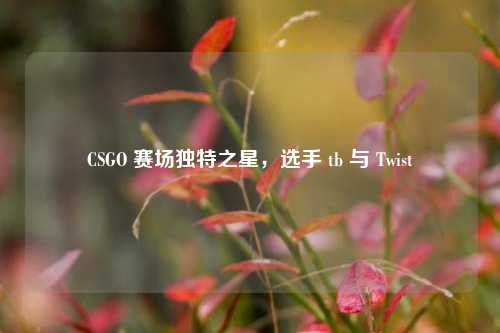 CSGO 赛场独特之星，选手 tb 与 Twist
