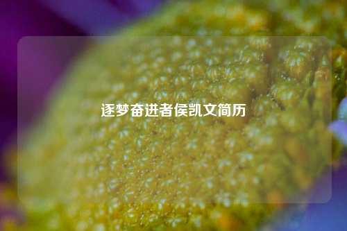 逐梦奋进者侯凯文简历