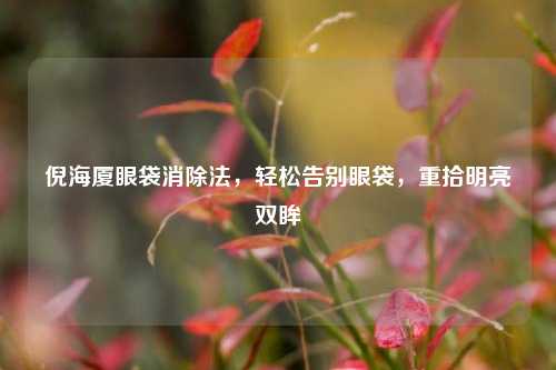 倪海厦眼袋消除法，轻松告别眼袋，重拾明亮双眸