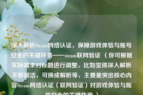 深入解析Steam *** 认证，保障游戏体验与账号安全的关键环节——steam联网验证 （你可根据实际需求对标题进行调整，比如觉得深入解析不够简洁，可换成解析等，主要是突出核心内容Steam *** 认证（联网验证）对游戏体验与账号安全的关键作用 ）