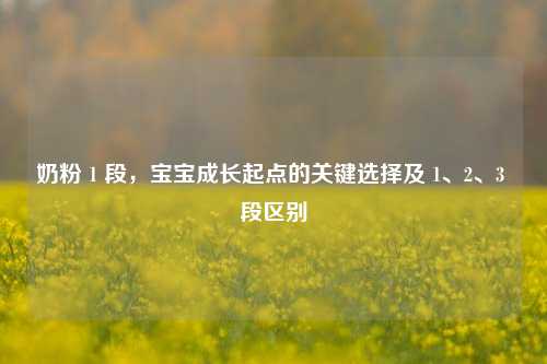 奶粉 1 段，宝宝成长起点的关键选择及 1、2、3 段区别