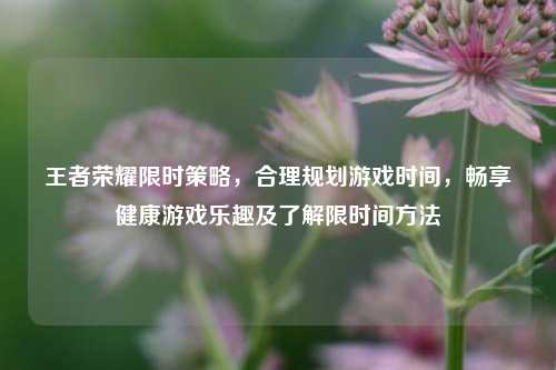 王者荣耀限时策略，合理规划游戏时间，畅享健康游戏乐趣及了解限时间 *** 