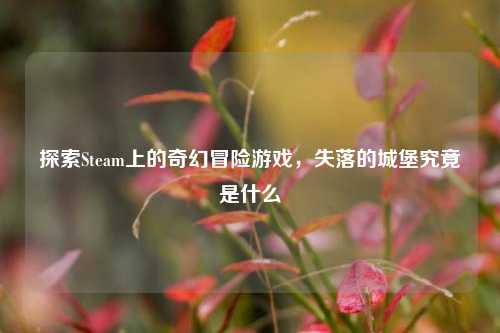 探索Steam上的奇幻冒险游戏，失落的城堡究竟是什么